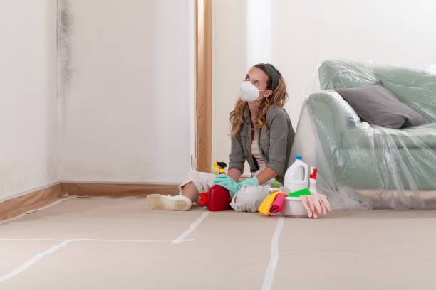 Reliable Mold Remediation contractor in Huntington, VA by WQB Mold Removal